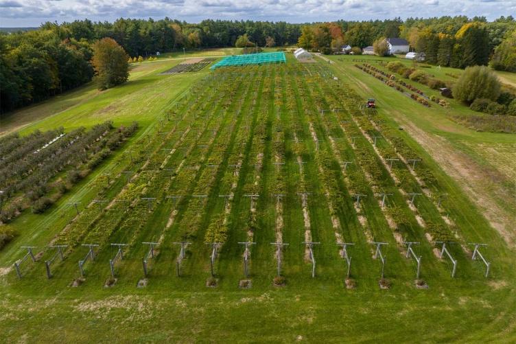 UNH’s kiwiberry vineyard – located at its Woodman Horticultural Research Farm and seen here in the center of the photo – spans nearly two acres of farmland.